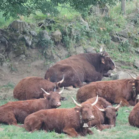 De L'aspre 여관 3*